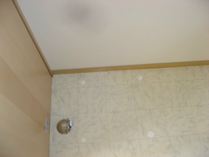 その他　洗濯機置場