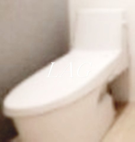 トイレ　トイレです。（同仕様設備です。）