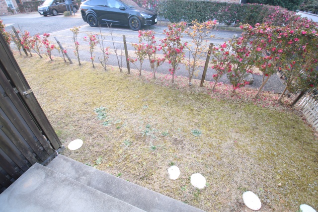 庭