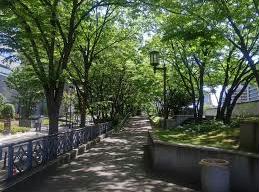 公園　中之島緑道（公園）まで1015m