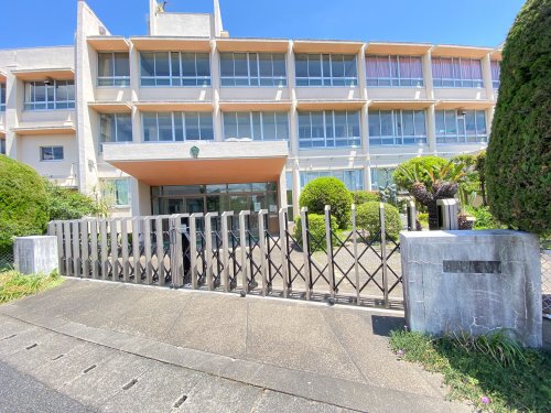 小学校　桑名市立日進小学校（小学校）まで427m