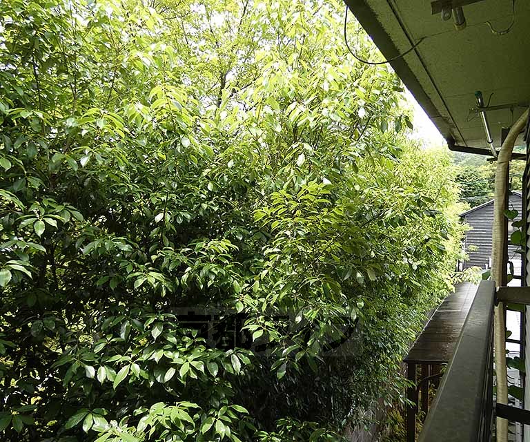 眺望　室外風景です。