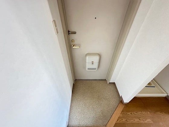 玄関　※別部屋の写真です