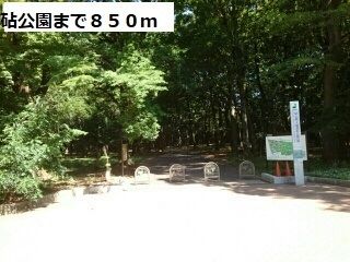 公園　砧公園（公園）まで850m