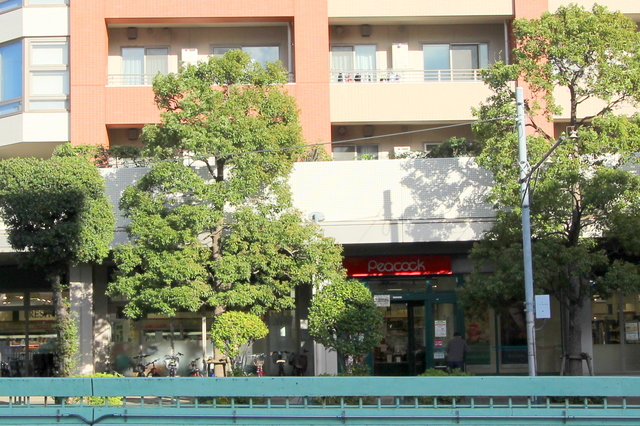 スーパー　ピーコックストア三軒茶屋の杜店（スーパー）まで495m