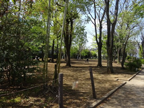 公園　中央緑地公園（公園）まで435m