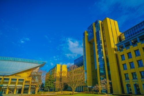 大学・短大　青山学院大学 青山キャンパス（大学・短大）まで459m