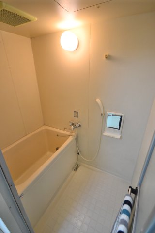 バス・シャワールーム　写真はイメージです（照明器具・家具・小物は撤去済）