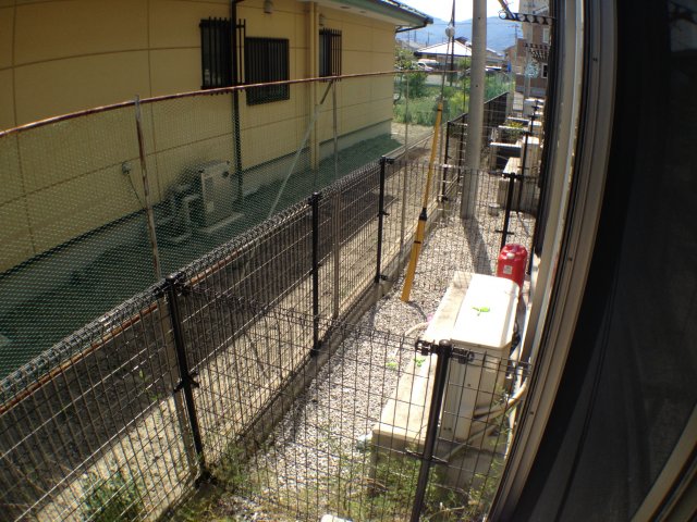 庭