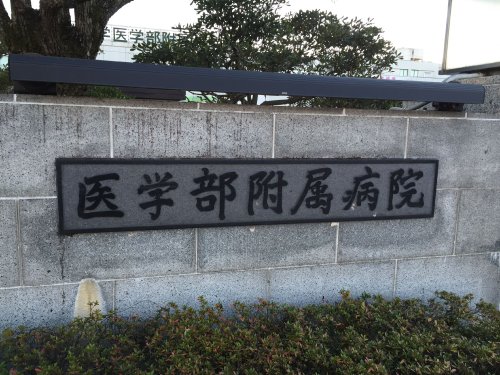 大学・短大　山梨大学医学部（大学・短大）まで1077m