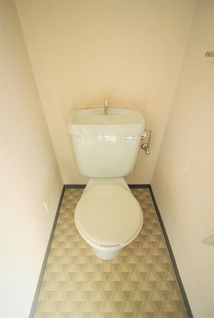 ロイヤルヒルズ泉中央III 402のトイレ写真