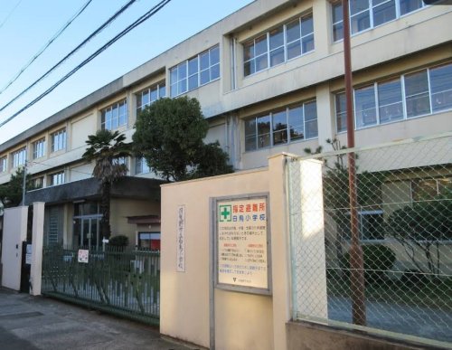 小学校　羽曳野市立白鳥小学校（小学校）まで728m