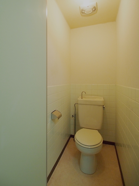 大国コーポラス パート1のトイレ写真