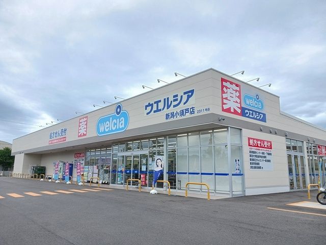 ドラックストア　ウエルシア新潟小須戸店（ドラッグストア）まで227m