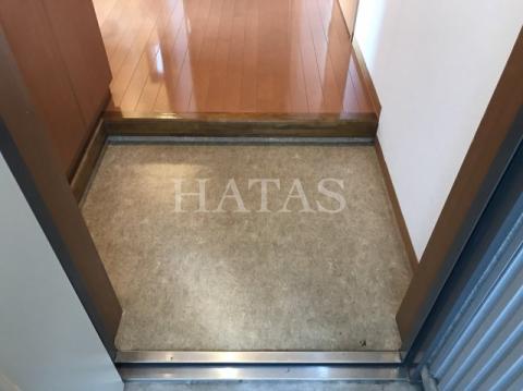 玄関　同物件別部屋です。