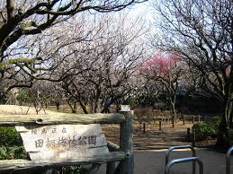 公園　田柄梅林公園（公園）まで599m