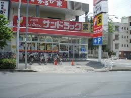 ドラックストア　サンドラッグ 光が丘店（ドラッグストア）まで810m
