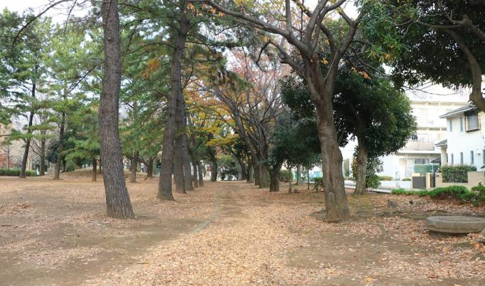 公園　一本松公園（公園）まで268m