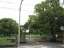 公園　篠崎公園（公園）まで500m