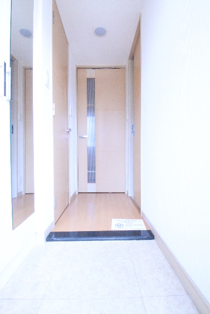 玄関　※別室の参考写真の為、現況優先です。