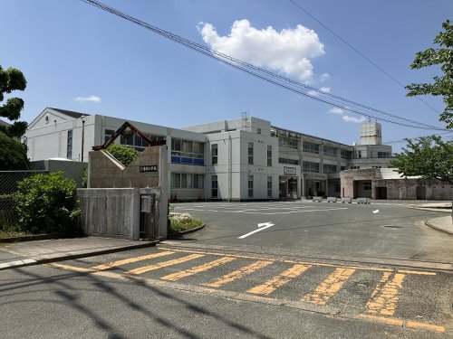 【レジェンド桜の小学校】