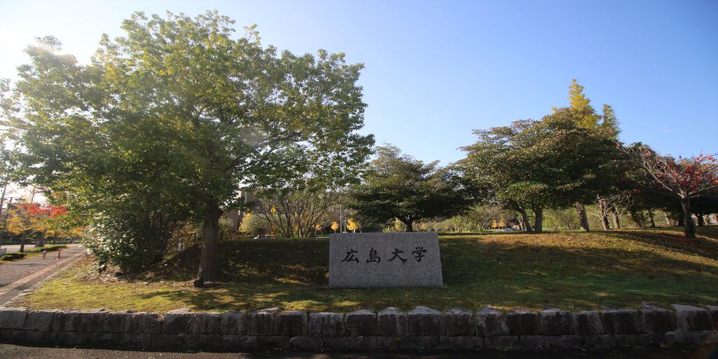 大学・短大　広島大学（大学・短大）まで563m