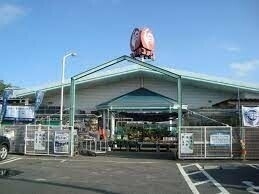 ホームセンター　コメリハード＆グリーン神栖店（ホームセンター）まで338m