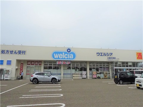 ドラックストア　ウェルシア　上越大潟店（ドラッグストア）まで1700m