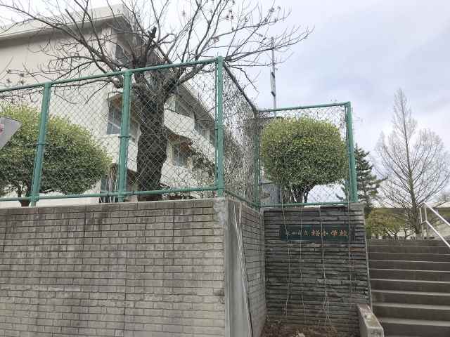 小学校　秋田市立桜小学校（小学校）まで584m