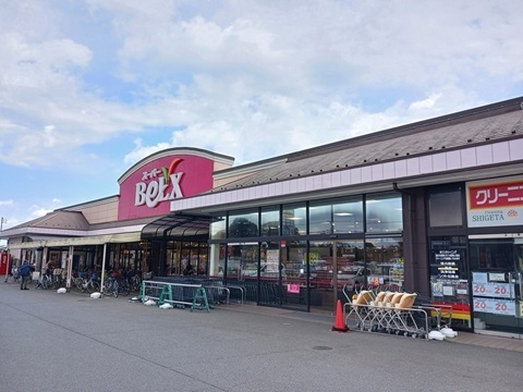 スーパー　ベルクス（スーパー）まで650m