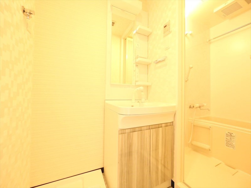 洗面設備　脱衣所　独立洗面台（シャンプードレッサー付）収納スペース有