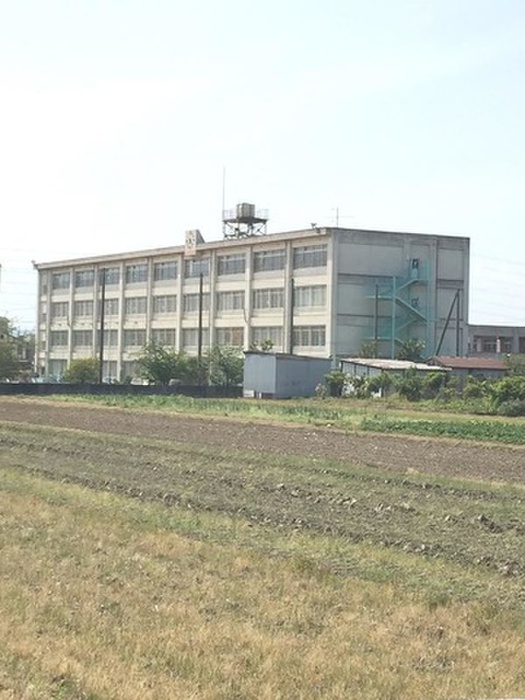 小学校　八尾市立上之島小学校（小学校）まで200m