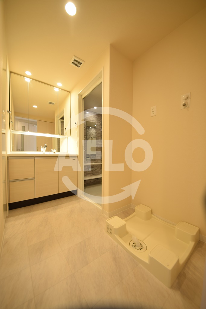 洗面設備　リバーガーデン岸里玉出　洗面所