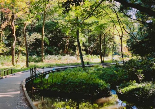 その他　湿生植物園（その他）まで515m