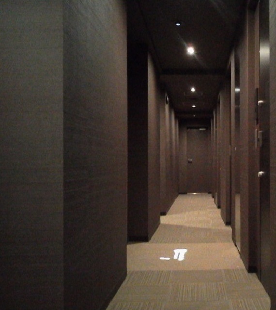 その他共有部分　内廊下