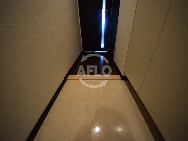 玄関　エスライズ難波　玄関