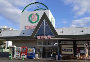 スーパー　新鮮市場新川店（スーパー）まで493m