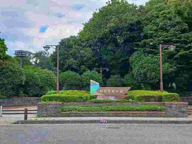 公園　相模原北公園（公園）まで900m