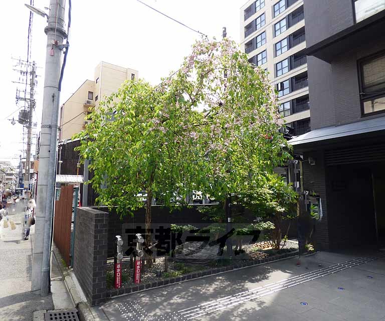 庭