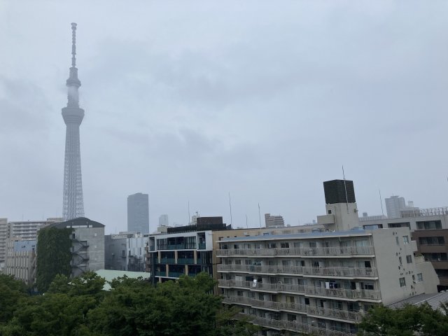 眺望　クレヴィア錦糸町ガーデンコースト