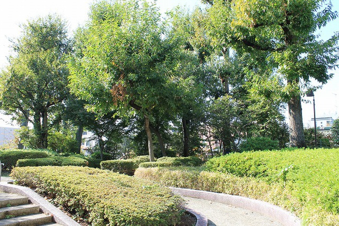 公園　くぬぎ公園（公園）まで240m