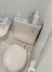 トイレ　トイレです
