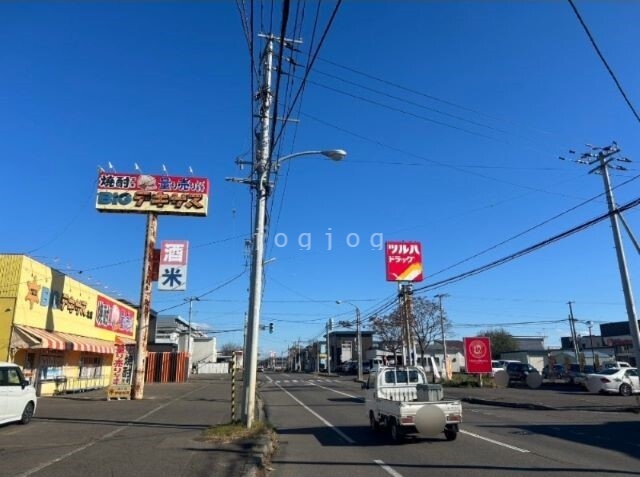ドラックストア　ツルハドラッグ帯広北店（ドラッグストア）まで250m