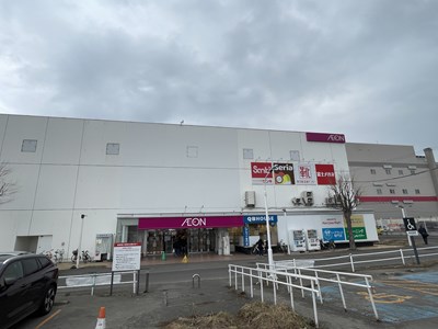 スーパー　イオン札幌平岸店（スーパー）まで880m