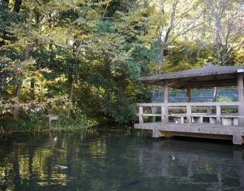 公園　黒川清流公園（公園）まで952m