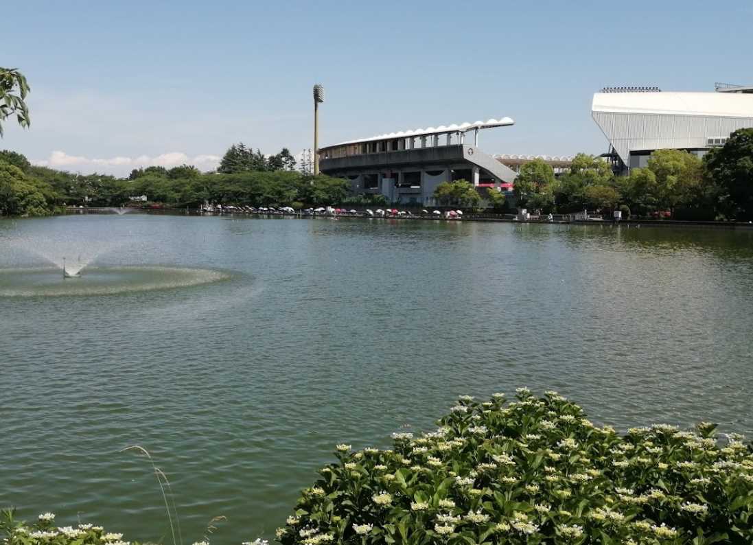 その他　等々力釣池（その他）まで911m