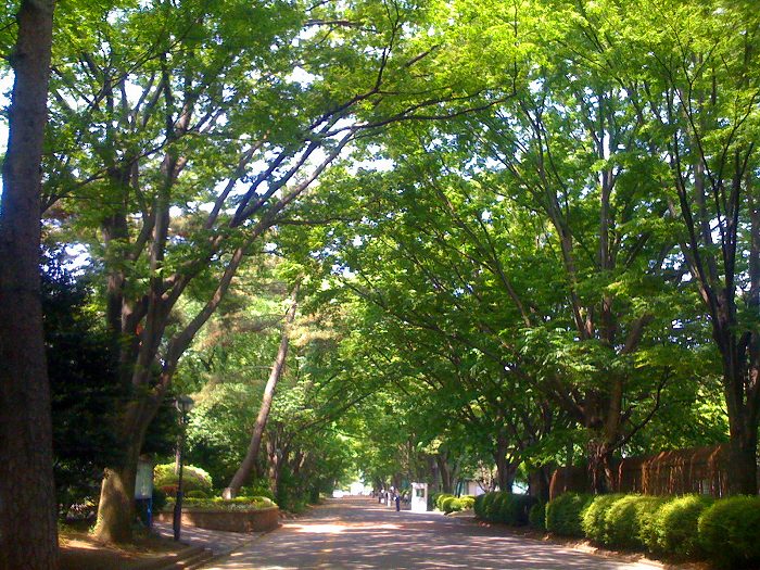 大学・短大　国立東京学芸大学（大学・短大）まで1533m