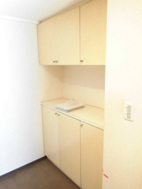 玄関　※同物件、別部屋になります。