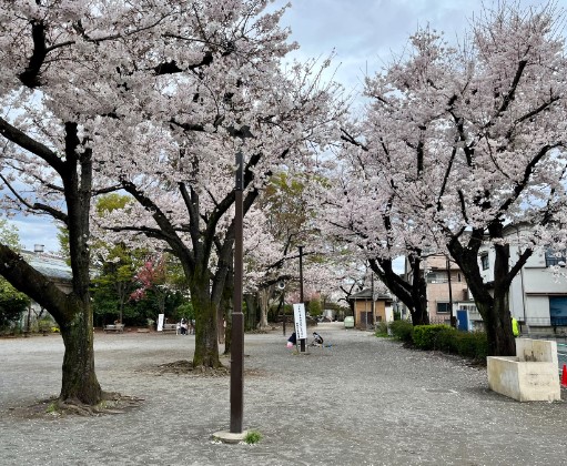 公園　上池袋さくら公園（公園）まで450m