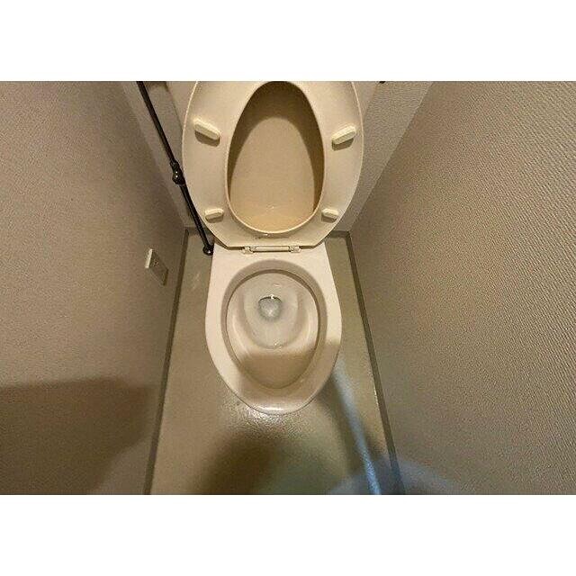 トイレ　※同仕様写真含む